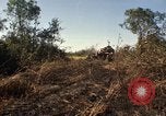 Standbild Vereinigten Staaten Marines Con Thien Vietnam, 1967, aus Sekunde 51 historischem Filmmaterial Videoclip 65675028464