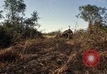Standbild Vereinigten Staaten Marines Con Thien Vietnam, 1967, aus Sekunde 52 historischem Filmmaterial Videoclip 65675028464