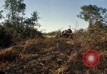 Standbild Vereinigten Staaten Marines Con Thien Vietnam, 1967, aus Sekunde 53 historischem Filmmaterial Videoclip 65675028464