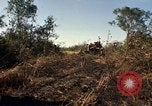 Standbild Vereinigten Staaten Marines Con Thien Vietnam, 1967, aus Sekunde 54 historischem Filmmaterial Videoclip 65675028464