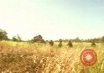 Immagine di Stati Uniti Marines Con Thien Vietnam, 1967, secondo 1 filmato di repertorio 65675028465