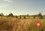 Immagine di Stati Uniti Marines Con Thien Vietnam, 1967, secondo 3 filmato di repertorio 65675028465