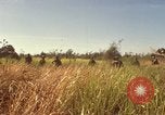 Immagine di Stati Uniti Marines Con Thien Vietnam, 1967, secondo 6 filmato di repertorio 65675028465