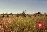 Immagine di Stati Uniti Marines Con Thien Vietnam, 1967, secondo 9 filmato di repertorio 65675028465