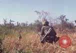 Immagine di Stati Uniti Marines Con Thien Vietnam, 1967, secondo 16 filmato di repertorio 65675028465