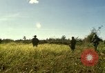 Immagine di Stati Uniti Marines Con Thien Vietnam, 1967, secondo 33 filmato di repertorio 65675028465