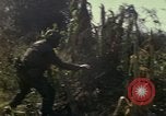 Standbild Vereinigten Staaten Marines Con Thien Vietnam, 1967, aus Sekunde 35 historischem Filmmaterial Videoclip 65675028467