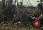 Standbild Vereinigten Staaten Marines Con Thien Vietnam, 1967, aus Sekunde 39 historischem Filmmaterial Videoclip 65675028467