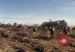 Standbild Vereinigten Staaten Marines Con Thien Vietnam, 1967, aus Sekunde 41 historischem Filmmaterial Videoclip 65675028469