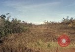 Standbild Vereinigten Staaten Marines Con Thien Vietnam, 1967, aus Sekunde 47 historischem Filmmaterial Videoclip 65675028469