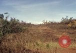 Standbild Vereinigten Staaten Marines Con Thien Vietnam, 1967, aus Sekunde 49 historischem Filmmaterial Videoclip 65675028469