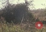 Immagine di Stati Uniti Marines Con Thien Vietnam, 1967, secondo 5 filmato di repertorio 65675028470