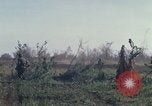 Immagine di Stati Uniti Marines Con Thien Vietnam, 1967, secondo 38 filmato di repertorio 65675028470