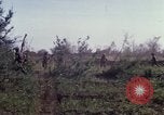 Immagine di Stati Uniti Marines Con Thien Vietnam, 1967, secondo 43 filmato di repertorio 65675028470