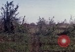 Immagine di Stati Uniti Marines Con Thien Vietnam, 1967, secondo 45 filmato di repertorio 65675028470