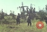 Immagine di Stati Uniti Marines Con Thien Vietnam, 1967, secondo 10 filmato di repertorio 65675028471