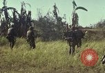 Immagine di Stati Uniti Marines Con Thien Vietnam, 1967, secondo 15 filmato di repertorio 65675028471