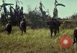 Immagine di Stati Uniti Marines Con Thien Vietnam, 1967, secondo 16 filmato di repertorio 65675028471