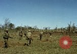 Image des Marines des États-Unis Con Thien Vietnam, 1967, de la seconde 36 séquences d'archives historiques vidéo 65675028473