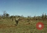 Image des Marines des États-Unis Con Thien Vietnam, 1967, de la seconde 47 séquences d'archives historiques vidéo 65675028473