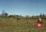 Image des Marines des États-Unis Con Thien Vietnam, 1967, de la seconde 60 séquences d'archives historiques vidéo 65675028473