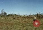 Image des Marines des États-Unis Con Thien Vietnam, 1967, de la seconde 62 séquences d'archives historiques vidéo 65675028473