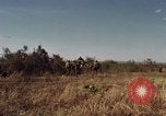 Image des Marines des États-Unis Con Thien Vietnam, 1967, de la seconde 3 séquences d'archives historiques vidéo 65675028474