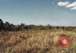 Image des Marines des États-Unis Con Thien Vietnam, 1967, de la seconde 9 séquences d'archives historiques vidéo 65675028474