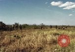 Image des Marines des États-Unis Con Thien Vietnam, 1967, de la seconde 11 séquences d'archives historiques vidéo 65675028474