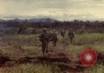 Image des Marines des États-Unis Con Thien Vietnam, 1967, de la seconde 19 séquences d'archives historiques vidéo 65675028475