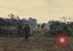 Image des Marines des États-Unis Con Thien Vietnam, 1967, de la seconde 35 séquences d'archives historiques vidéo 65675028475
