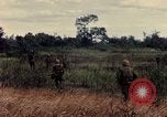 Image des Marines des États-Unis Con Thien Vietnam, 1967, de la seconde 50 séquences d'archives historiques vidéo 65675028475