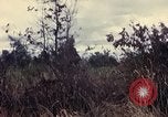 Image des Marines des États-Unis Con Thien Vietnam, 1967, de la seconde 60 séquences d'archives historiques vidéo 65675028475
