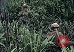 Image des Marines des États-Unis Khe Sanh Vietnam, 1967, de la seconde 3 séquences d'archives historiques vidéo 65675028477