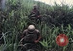 Image des Marines des États-Unis Khe Sanh Vietnam, 1967, de la seconde 5 séquences d'archives historiques vidéo 65675028477