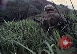 Image des Marines des États-Unis Khe Sanh Vietnam, 1967, de la seconde 10 séquences d'archives historiques vidéo 65675028477
