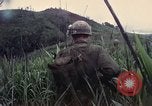 Image des Marines des États-Unis Khe Sanh Vietnam, 1967, de la seconde 17 séquences d'archives historiques vidéo 65675028477