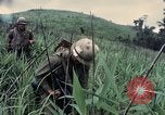 Image des Marines des États-Unis Khe Sanh Vietnam, 1967, de la seconde 24 séquences d'archives historiques vidéo 65675028477