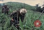 Image des Marines des États-Unis Khe Sanh Vietnam, 1967, de la seconde 25 séquences d'archives historiques vidéo 65675028477