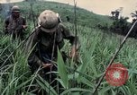 Image des Marines des États-Unis Khe Sanh Vietnam, 1967, de la seconde 32 séquences d'archives historiques vidéo 65675028477