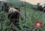 Image des Marines des États-Unis Khe Sanh Vietnam, 1967, de la seconde 33 séquences d'archives historiques vidéo 65675028477