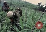 Image des Marines des États-Unis Khe Sanh Vietnam, 1967, de la seconde 34 séquences d'archives historiques vidéo 65675028477