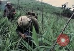Image des Marines des États-Unis Khe Sanh Vietnam, 1967, de la seconde 35 séquences d'archives historiques vidéo 65675028477