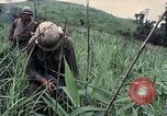 Image des Marines des États-Unis Khe Sanh Vietnam, 1967, de la seconde 45 séquences d'archives historiques vidéo 65675028477