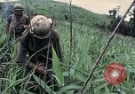 Image des Marines des États-Unis Khe Sanh Vietnam, 1967, de la seconde 49 séquences d'archives historiques vidéo 65675028477