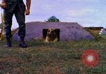 Image K-9 Sentry chiens Phu Cat Base aérienne Vietnam, 1969, de la seconde 16 séquences d'archives historiques vidéo 65675028490