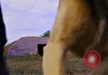 Image K-9 Sentry chiens Phu Cat Base aérienne Vietnam, 1969, de la seconde 19 séquences d'archives historiques vidéo 65675028490