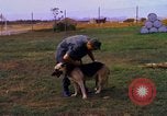 Image K-9 Sentry chiens Phu Cat Base aérienne Vietnam, 1969, de la seconde 29 séquences d'archives historiques vidéo 65675028490