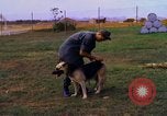 Image K-9 Sentry chiens Phu Cat Base aérienne Vietnam, 1969, de la seconde 32 séquences d'archives historiques vidéo 65675028490