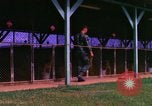 Image of K-9 sentry dogs Phu Cat Air Base Vietnam, 1969, second 6 stock footage video 65675028491